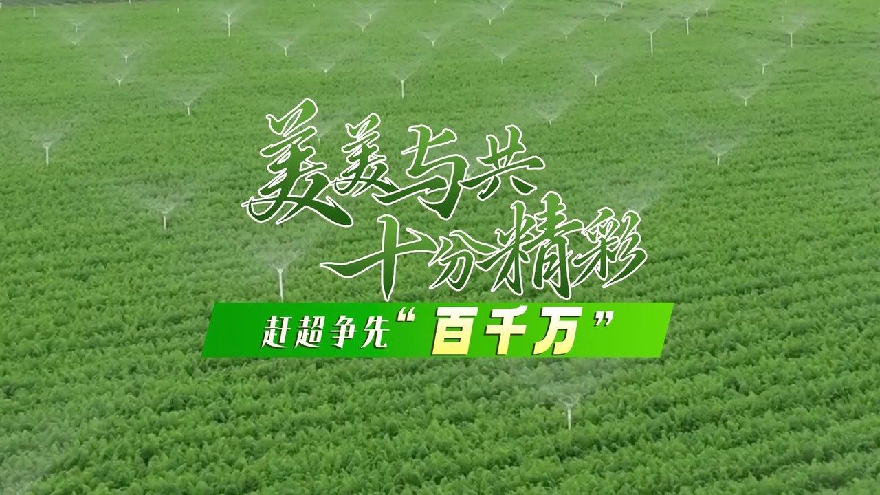 美美與共·十分精彩——趕超爭(zhēng)先“百千萬(wàn)”第四場(chǎng)